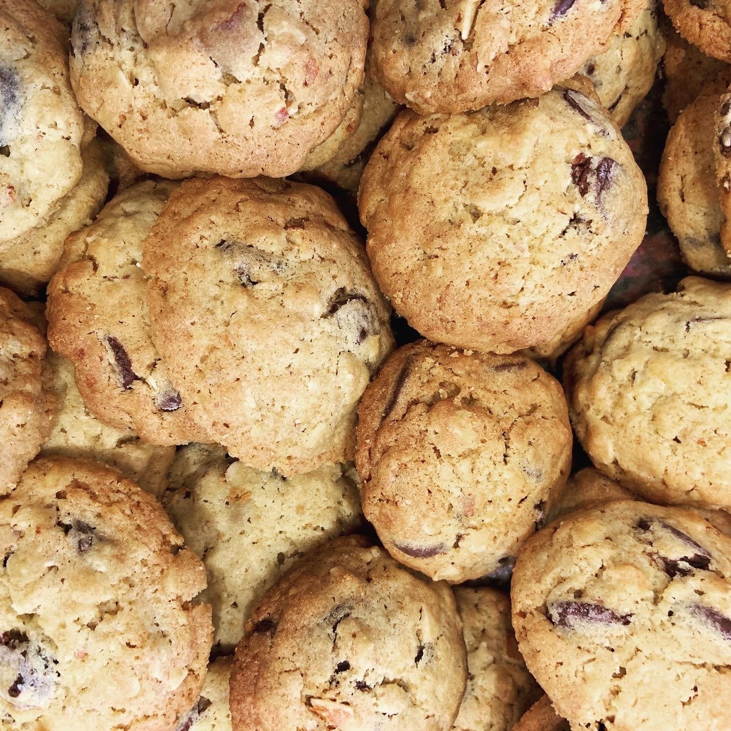 choc chip cookies freshly baked