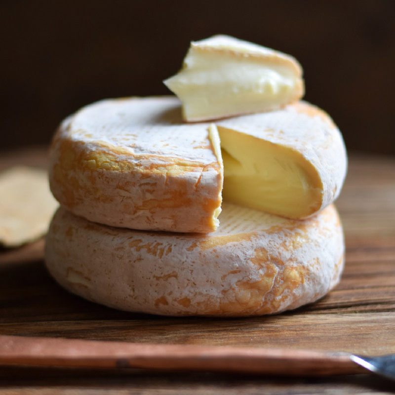 Cheese brie