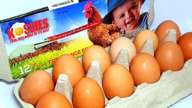 free range eggs in a carton