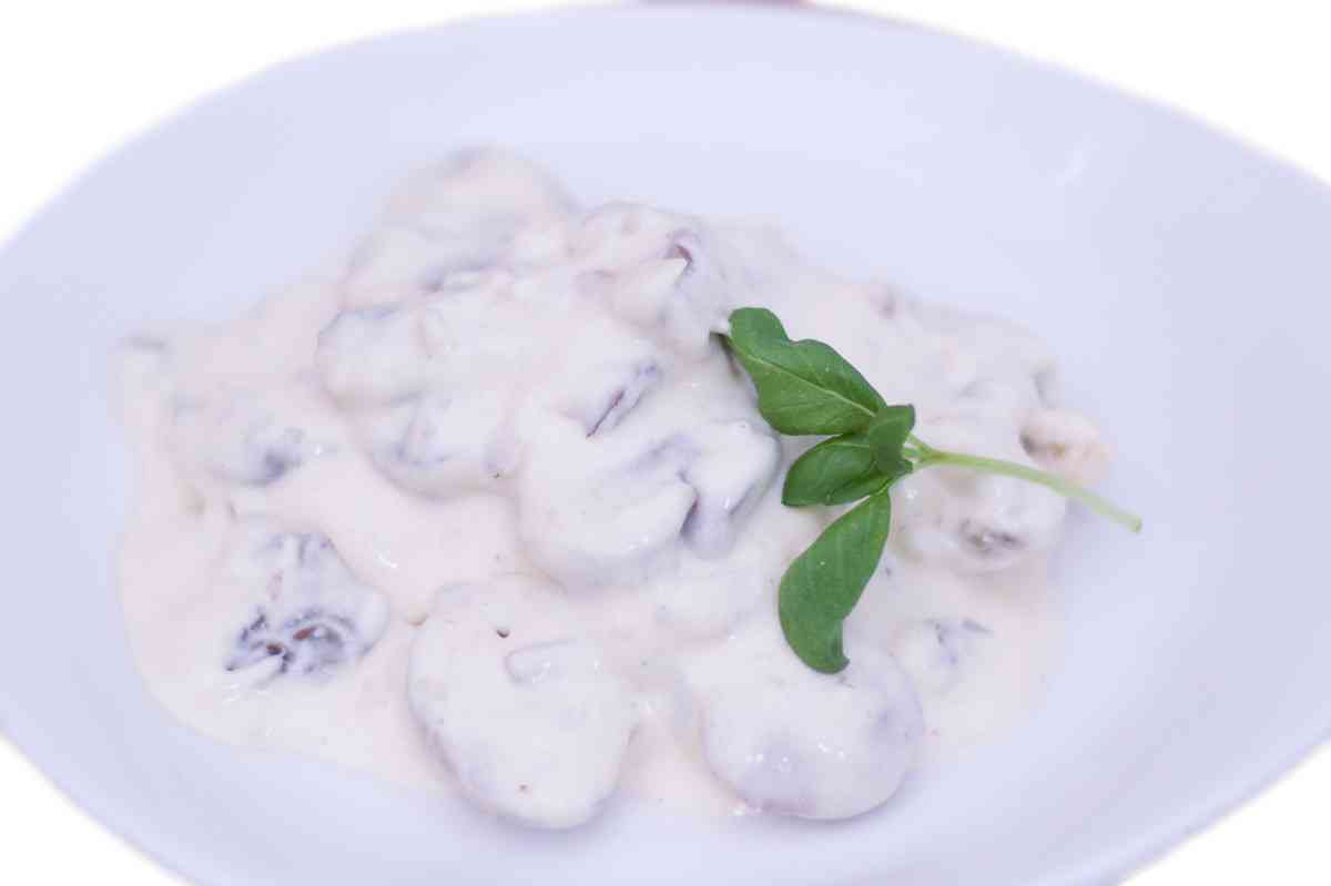 Maria's Pasta freshly made creamy mushroom sauce
