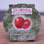 Roma tomatoes packaged